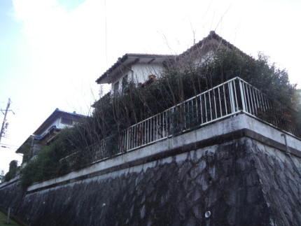 岐阜県可児市の庭木伐採