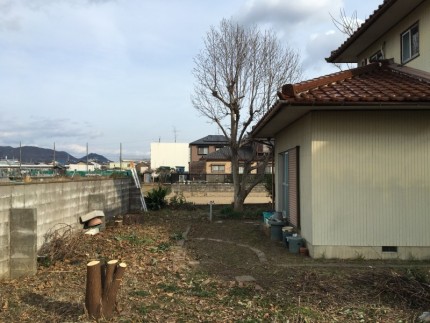 岐阜市の庭木伐採