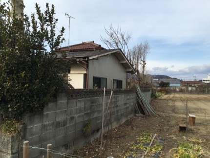 岐阜市の庭木伐採