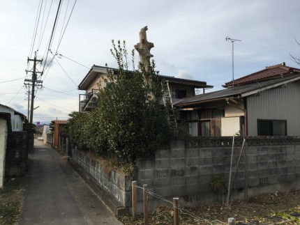 岐阜市の庭木伐採