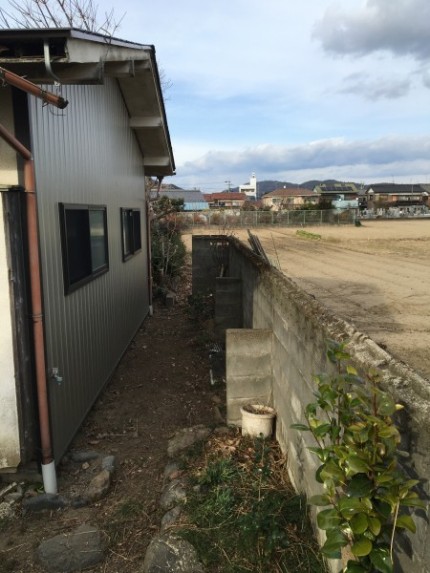 岐阜市の庭木伐採