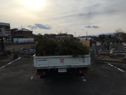 岐阜市の庭木伐採