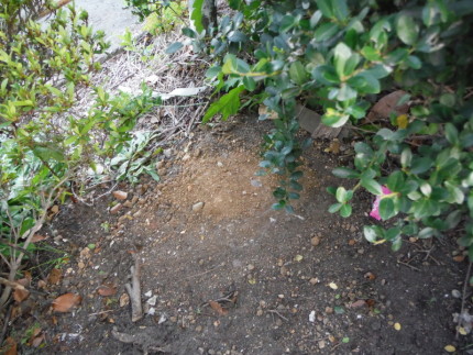 名古屋市の看板撤去