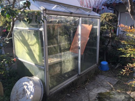 温室撤去処分|名古屋市名東区