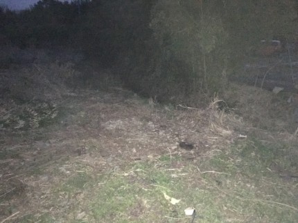 名古屋の倉庫撤去処分が完工