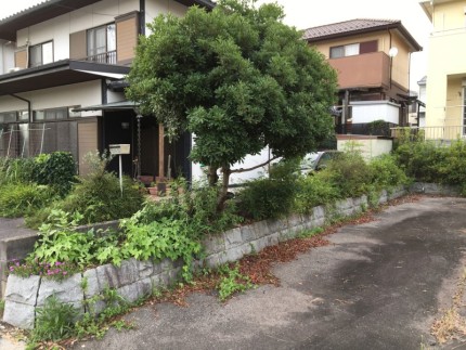 アスファルト舗装、樹木撤去お見積り｜岐阜県岐阜市