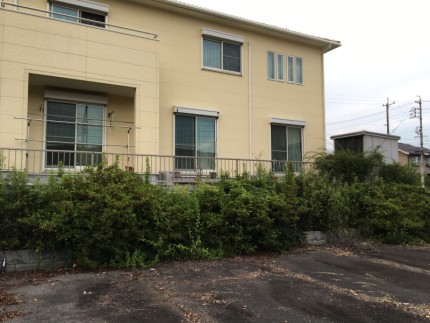 アスファルト舗装、樹木撤去お見積り｜岐阜県岐阜市