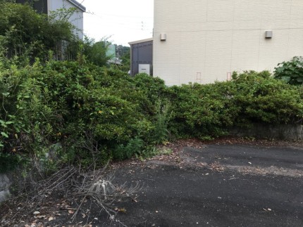 アスファルト舗装、樹木撤去お見積り｜岐阜県岐阜市