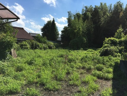 庭石撤去お見積り｜岐阜県美濃加茂市