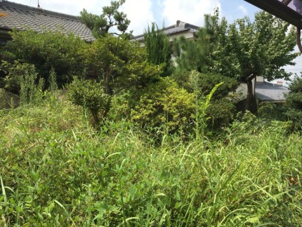 名古屋市緑区の庭木伐採工事お見積り