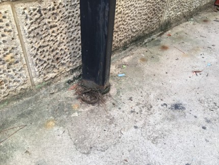 カーポート撤去お見積り