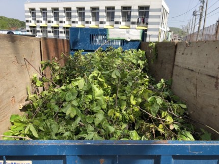 岐阜市｜庭木廃材積替え