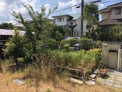 お庭の解体|庭木伐採