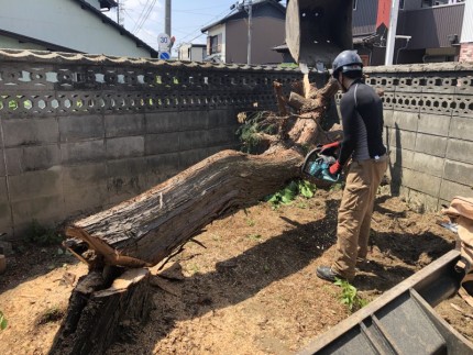 無事に切り倒しました|岐阜市の庭木伐採