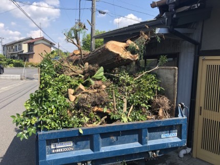 伐採した廃材をすべて積み込みました|岐阜市の庭木伐採