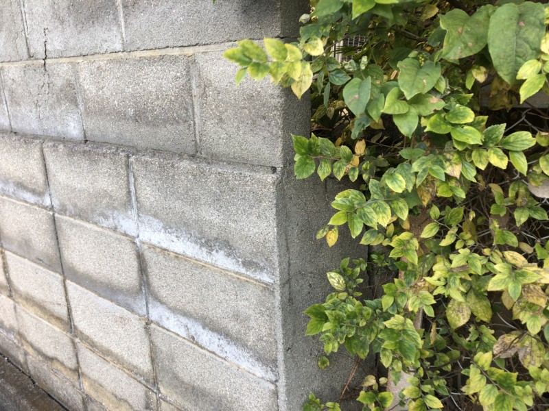 ブロック塀のヒビ割れ