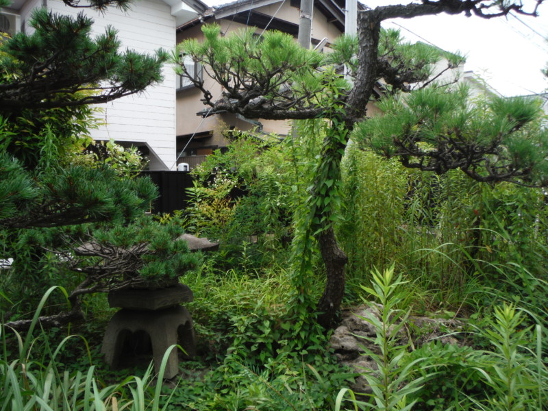 名古屋市北区お庭の解体【庭石、ブロック、残土】