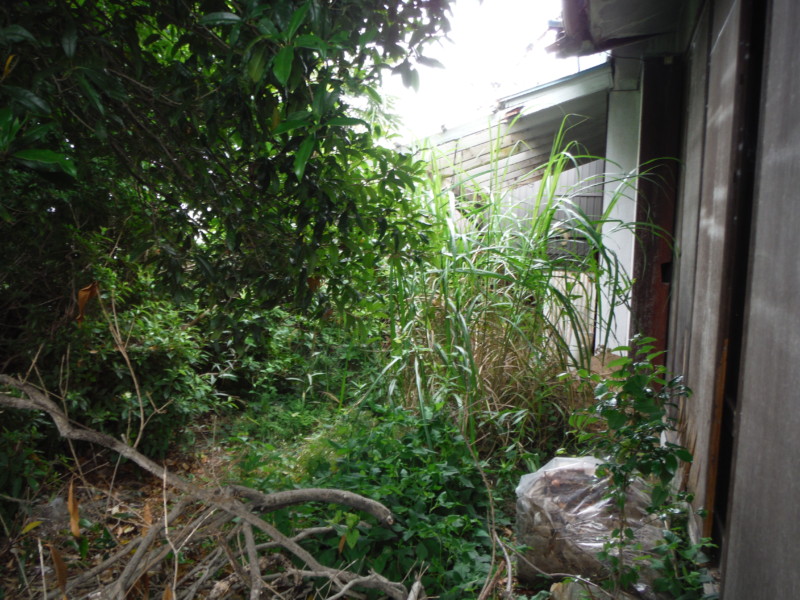 岐阜市の庭木伐採工事【車が入れないため、手作業で伐採と積み込み】