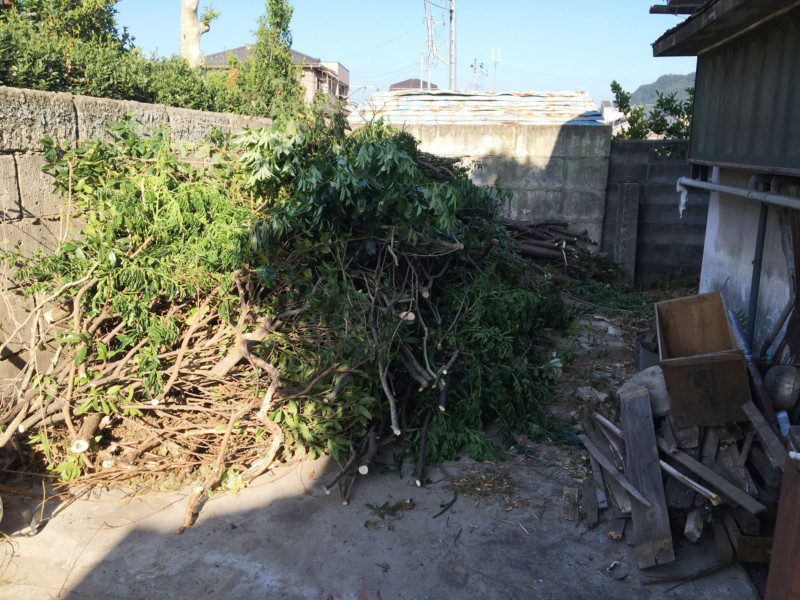 岐阜市の庭木伐採工事【車が入れないため、手作業で伐採と積み込み】