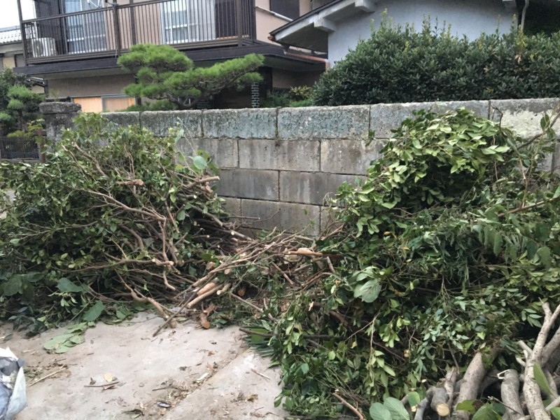 岐阜市の庭木伐採工事【車が入れないため、手作業で伐採と積み込み】