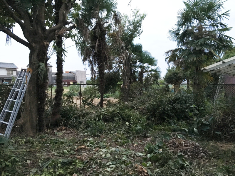 岐阜市の庭木伐採工事【車が入れないため、手作業で伐採と積み込み】