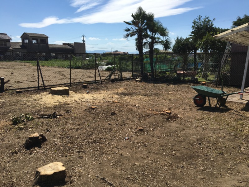 岐阜市の庭木伐採工事【車が入れないため、手作業で伐採と積み込み】