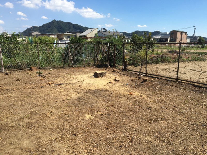 岐阜市の庭木伐採工事【車が入れないため、手作業で伐採と積み込み】