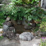 名古屋市千種区の池の撤去工事お見積り調査