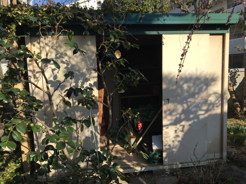 名古屋市天白区の物置き撤去工事お見積り調査