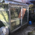 名古屋市の温室撤去処分お見積り調査