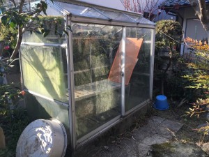 名古屋市の温室撤去処分お見積り調査