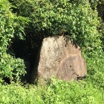 岐阜県美濃加茂市の庭石撤去お見積り調査