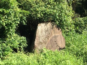 岐阜県美濃加茂市の庭石撤去お見積り調査