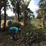 岐阜市の庭木の伐採【4日作業60万円】空き家を放置で管理できず