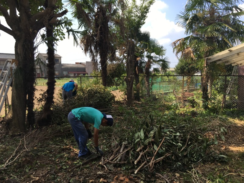 岐阜市の庭木の伐採【4日作業60万円】空き家を放置で管理できず