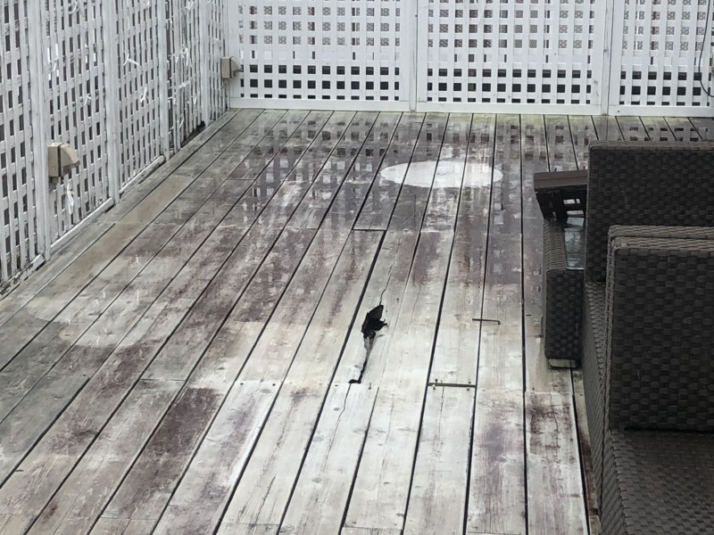 名古屋市のマンションのウッドデッキを撤去【3日作業27万円】(27)