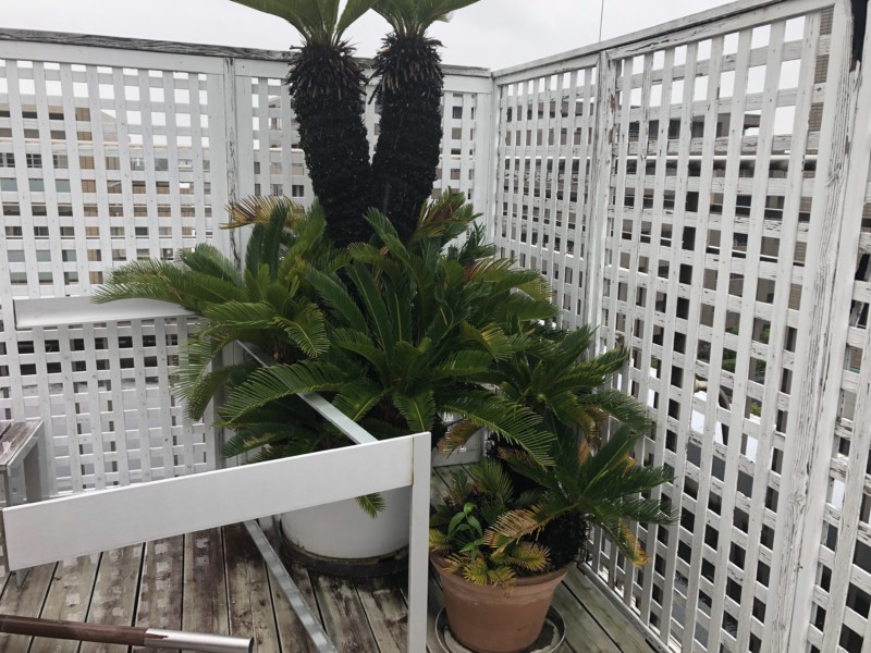 名古屋市のマンションのウッドデッキを撤去【3日作業27万円】(27)