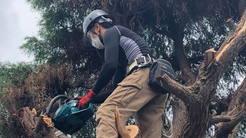 施工メニュー【庭木】