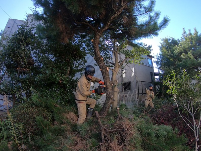 名古屋市緑区お庭の解体工事【大きな庭石と庭木を全撤去】