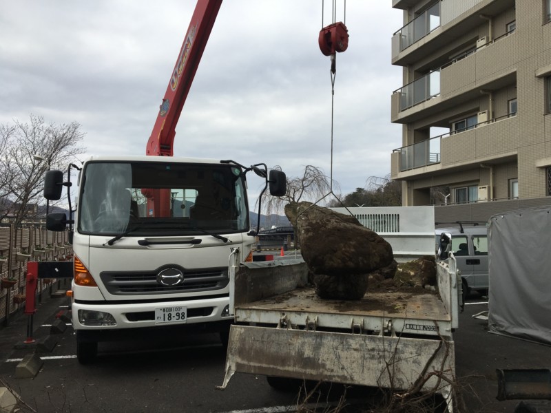 愛知県犬山市の庭の解体工事【庭木伐根と庭石撤去】