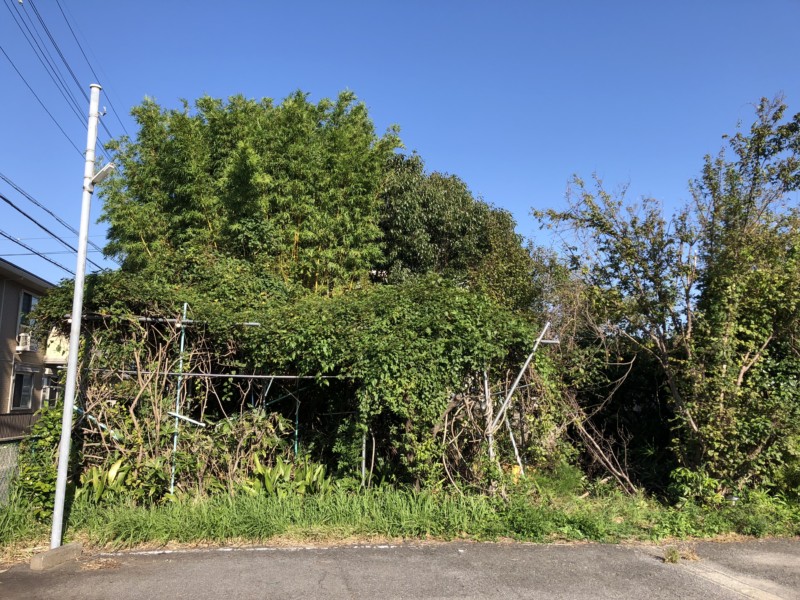 愛知県一宮市の庭木の伐採処分