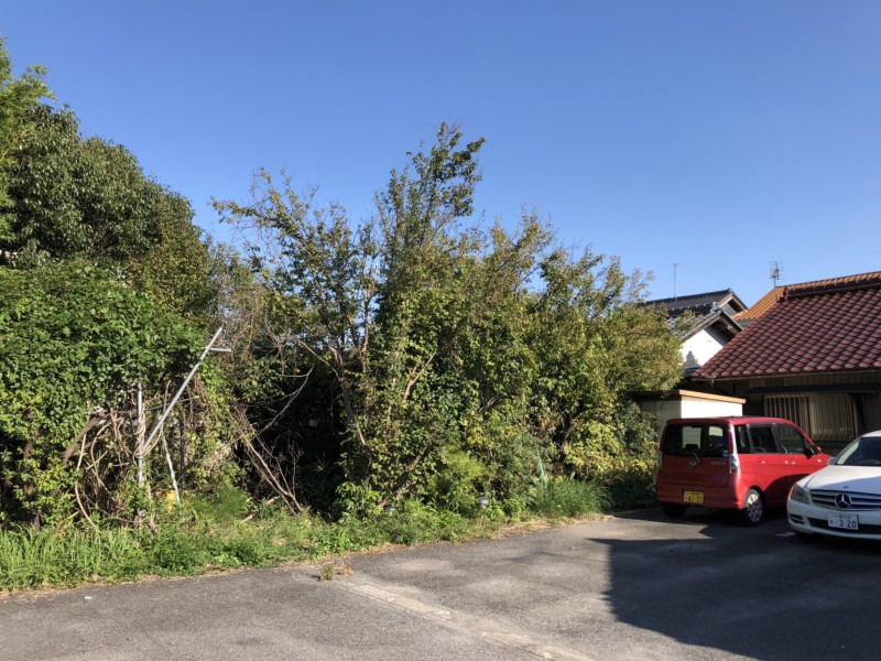 愛知県一宮市の庭木の伐採処分