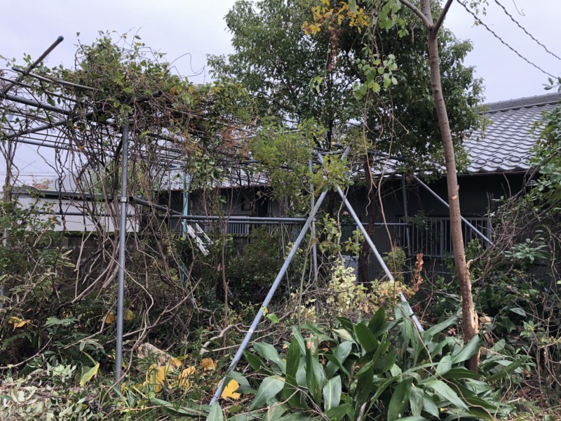 愛知県一宮市の庭木の伐採処分