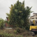 【愛知県一宮市】竹林の伐採・処分の費用事例【80平米58万円】