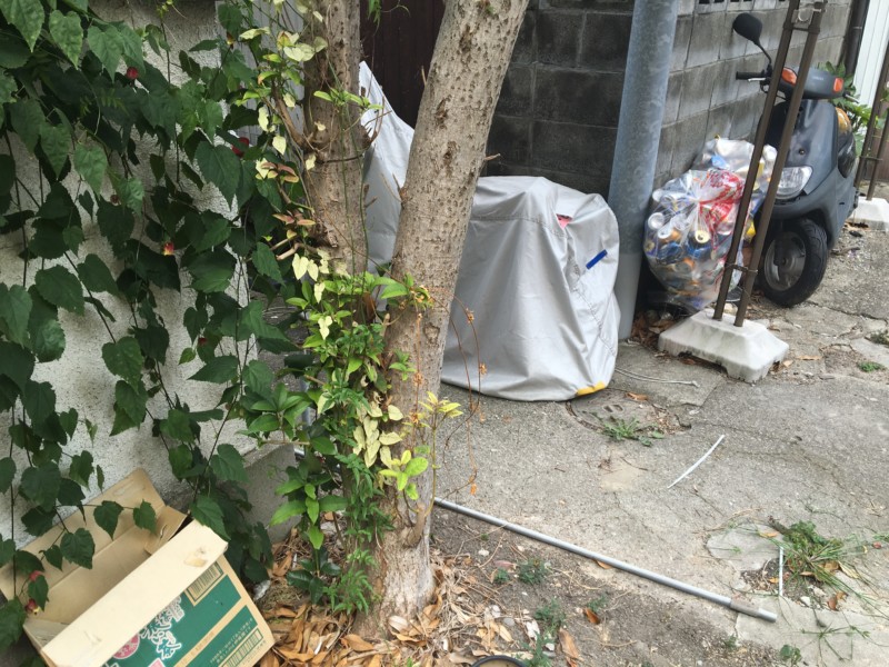 名古屋市北区の庭木の伐採処分