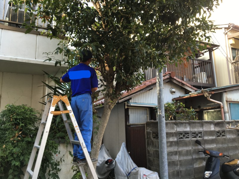 名古屋市北区の庭木の伐採処分