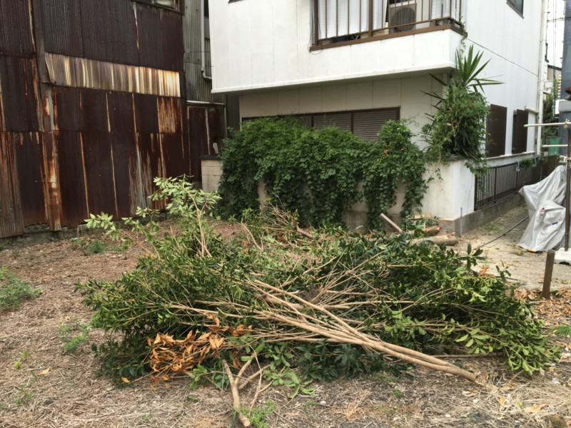 名古屋市北区の庭木の伐採処分