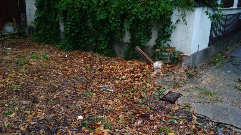 名古屋市北区の庭木の伐採処分