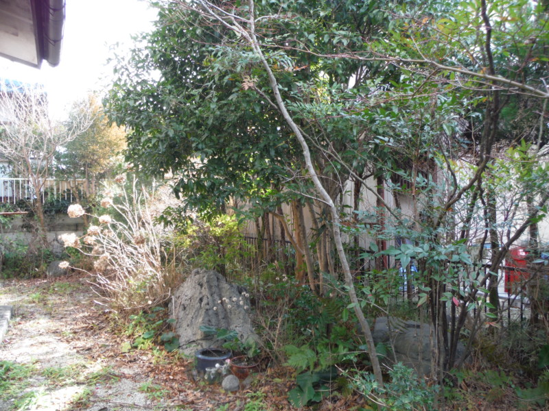 岐阜県可児市の庭木の伐採工事|きれいなお庭にもどす