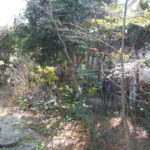 岐阜県可児市の庭木をチェンソーで伐採【1日作業15万円】